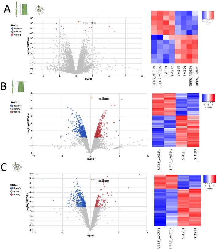 https://cdn.ncbi.nlm.nih.gov/pmc/blobs/5959/12214915/67125a3662b2/41598_2025_1436_Fig6_HTML.jpg