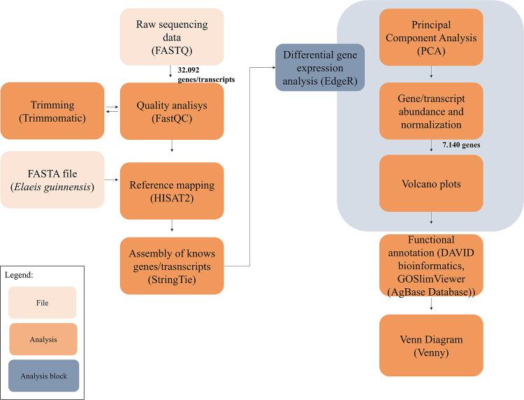 https://cdn.ncbi.nlm.nih.gov/pmc/blobs/5959/12214915/ef6e61d53a69/41598_2025_1436_Fig2_HTML.jpg