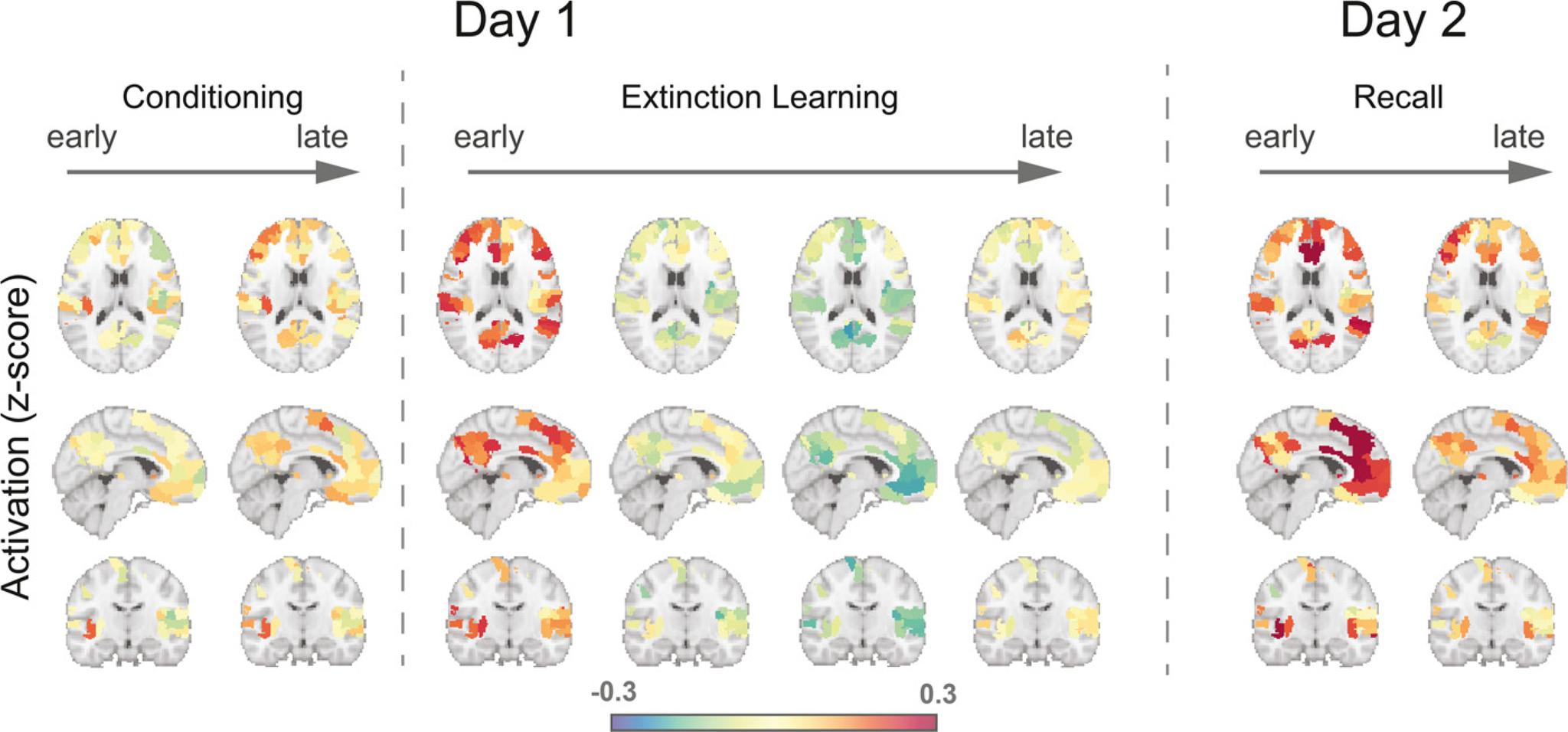 https://cdn.ncbi.nlm.nih.gov/pmc/blobs/5959/8436785/023ce09f398c/nihms-1730623-f0004.jpg