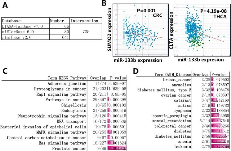 https://cdn.ncbi.nlm.nih.gov/pmc/blobs/595b/5564843/b0263a13d44d/oncotarget-08-50193-g002.jpg