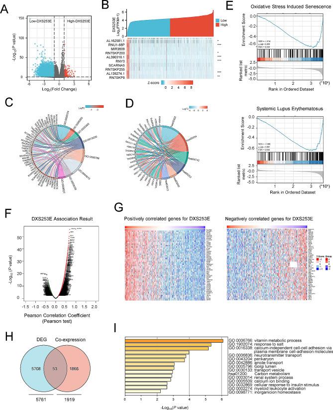 https://cdn.ncbi.nlm.nih.gov/pmc/blobs/595d/11186088/0382ba29c566/12935_2024_3403_Fig5_HTML.jpg
