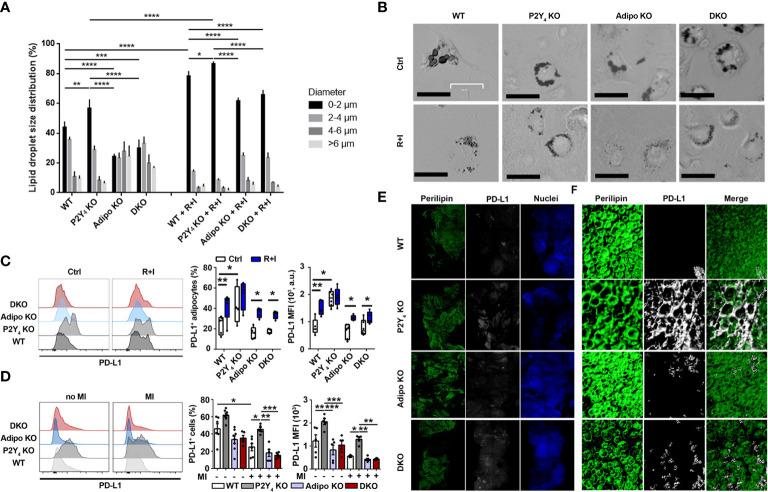 https://cdn.ncbi.nlm.nih.gov/pmc/blobs/595d/9555169/7ae80e5a3965/fimmu-13-1006934-g002.jpg