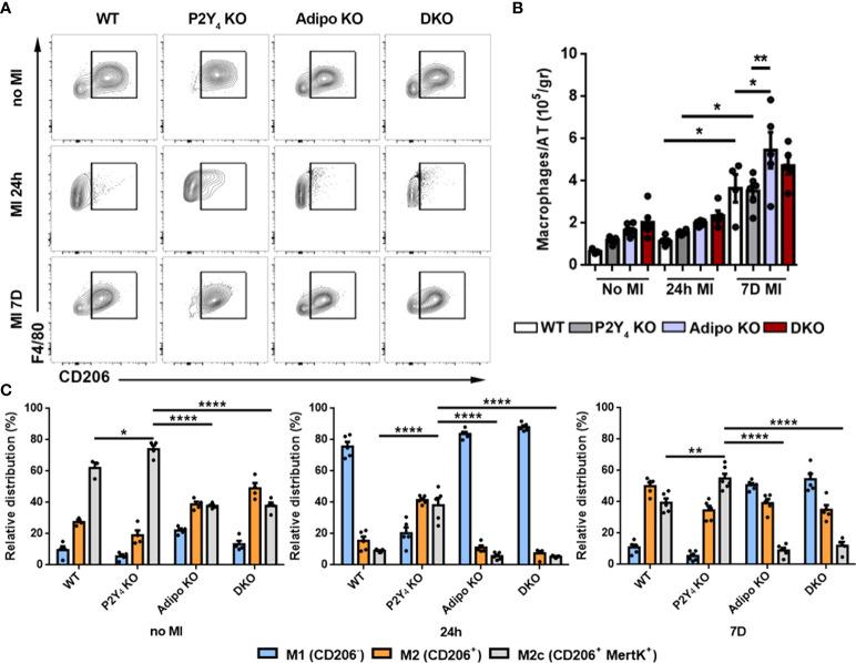 https://cdn.ncbi.nlm.nih.gov/pmc/blobs/595d/9555169/d293f03bc17d/fimmu-13-1006934-g003.jpg