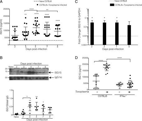 https://cdn.ncbi.nlm.nih.gov/pmc/blobs/595f/6036233/a8e487bc8da8/ji1701322f2.jpg
