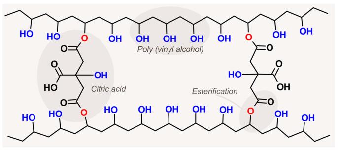 https://cdn.ncbi.nlm.nih.gov/pmc/blobs/5961/10383731/574fc928529b/membranes-13-00662-g001.jpg