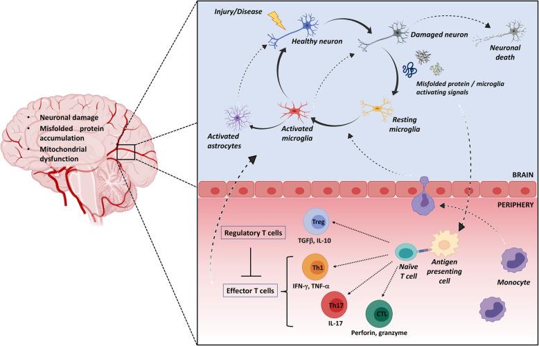 https://cdn.ncbi.nlm.nih.gov/pmc/blobs/5961/7556967/a27a45971fa1/12974_2020_1968_Fig1_HTML.jpg