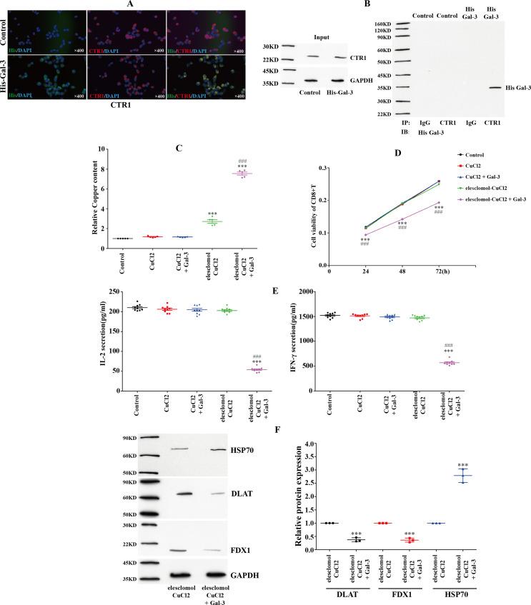 https://cdn.ncbi.nlm.nih.gov/pmc/blobs/5963/11456027/93972f10c18d/18_2024_5454_Fig4_HTML.jpg