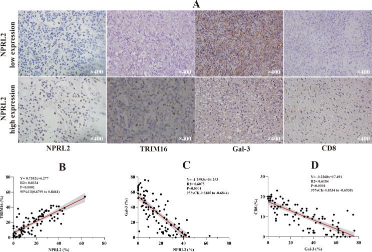 https://cdn.ncbi.nlm.nih.gov/pmc/blobs/5963/11456027/a82a50cd0bcd/18_2024_5454_Fig3_HTML.jpg