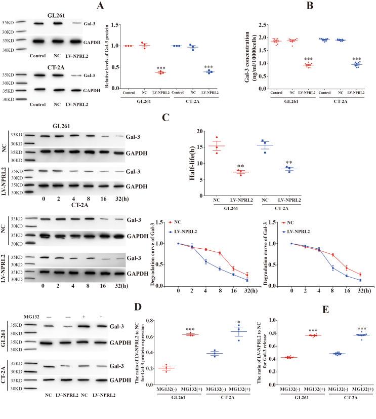 https://cdn.ncbi.nlm.nih.gov/pmc/blobs/5963/11456027/b1f3a187368c/18_2024_5454_Fig1_HTML.jpg