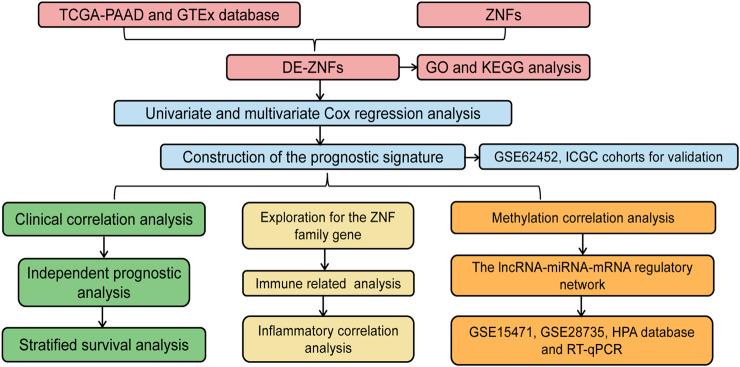 https://cdn.ncbi.nlm.nih.gov/pmc/blobs/5966/10311482/d64b9ef21750/fgene-14-1089023-g001.jpg