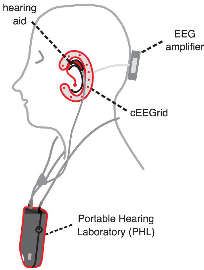 https://cdn.ncbi.nlm.nih.gov/pmc/blobs/5966/9475108/e578a037ff05/fnins-16-904003-g0001.jpg