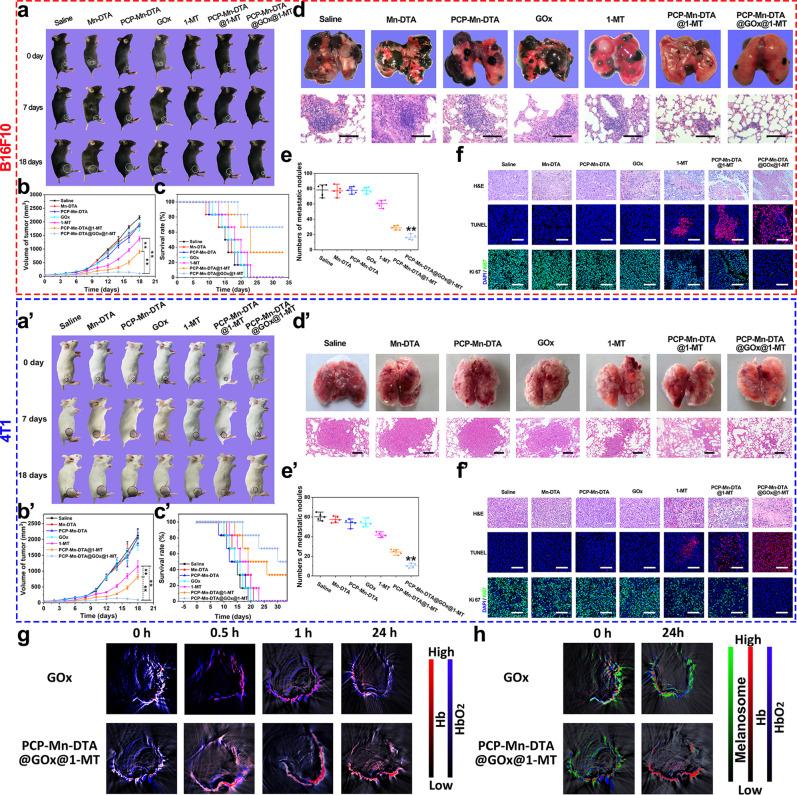 https://cdn.ncbi.nlm.nih.gov/pmc/blobs/5967/9110376/09b3e2ea234e/41467_2022_30436_Fig9_HTML.jpg