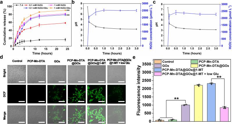 https://cdn.ncbi.nlm.nih.gov/pmc/blobs/5967/9110376/2bcb7b090eae/41467_2022_30436_Fig4_HTML.jpg