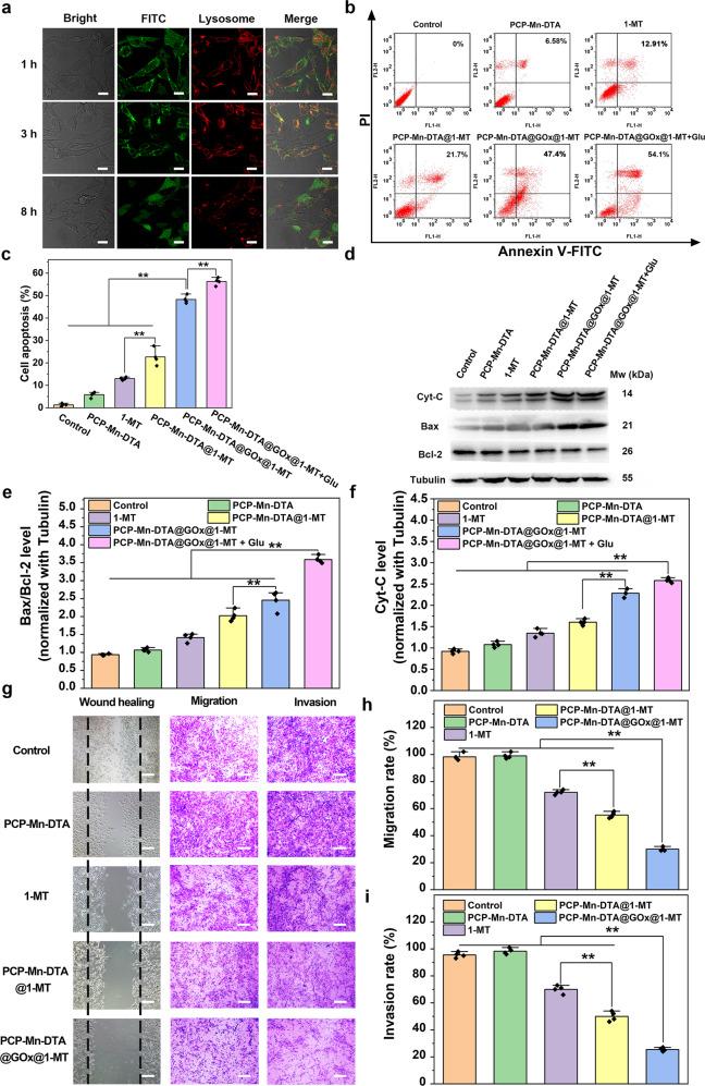 https://cdn.ncbi.nlm.nih.gov/pmc/blobs/5967/9110376/a983fefa6d07/41467_2022_30436_Fig7_HTML.jpg