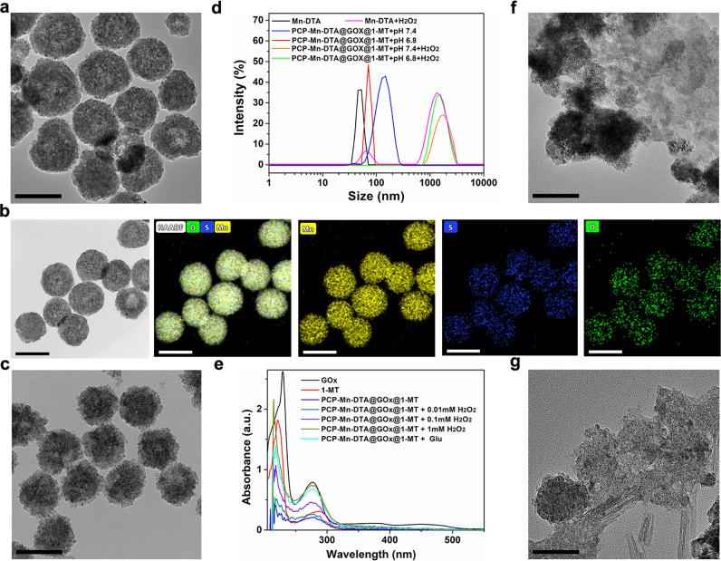 https://cdn.ncbi.nlm.nih.gov/pmc/blobs/5967/9110376/b7196c0272a4/41467_2022_30436_Fig3_HTML.jpg
