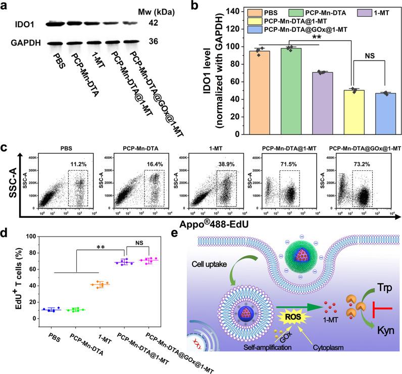 https://cdn.ncbi.nlm.nih.gov/pmc/blobs/5967/9110376/f9157c3b0057/41467_2022_30436_Fig6_HTML.jpg