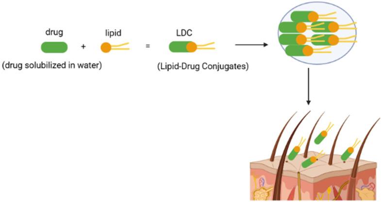 https://cdn.ncbi.nlm.nih.gov/pmc/blobs/5967/9180973/b9da7c1d2725/ijms-23-06165-g003.jpg