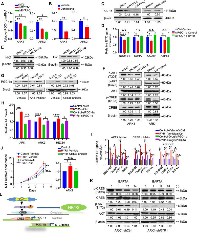 https://cdn.ncbi.nlm.nih.gov/pmc/blobs/5967/9373370/6c7507abd86a/13046_2022_2419_Fig7_HTML.jpg