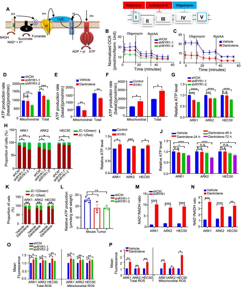 https://cdn.ncbi.nlm.nih.gov/pmc/blobs/5967/9373370/71edf867a57a/13046_2022_2419_Fig5_HTML.jpg