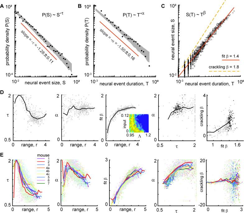 https://cdn.ncbi.nlm.nih.gov/pmc/blobs/5967/9931391/1eb18a172c15/elife-79950-fig9.jpg