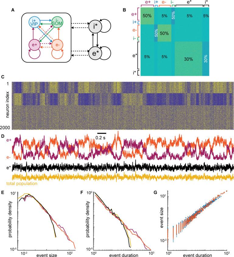 https://cdn.ncbi.nlm.nih.gov/pmc/blobs/5967/9931391/67c52d9f02b6/elife-79950-fig8-figsupp2.jpg