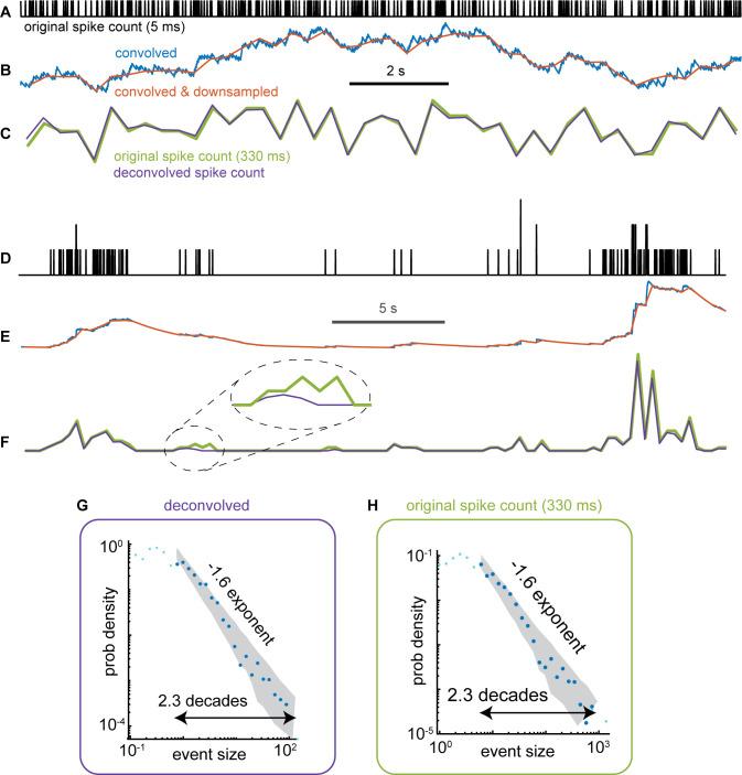 https://cdn.ncbi.nlm.nih.gov/pmc/blobs/5967/9931391/7b8082dc9401/elife-79950-fig3-figsupp1.jpg