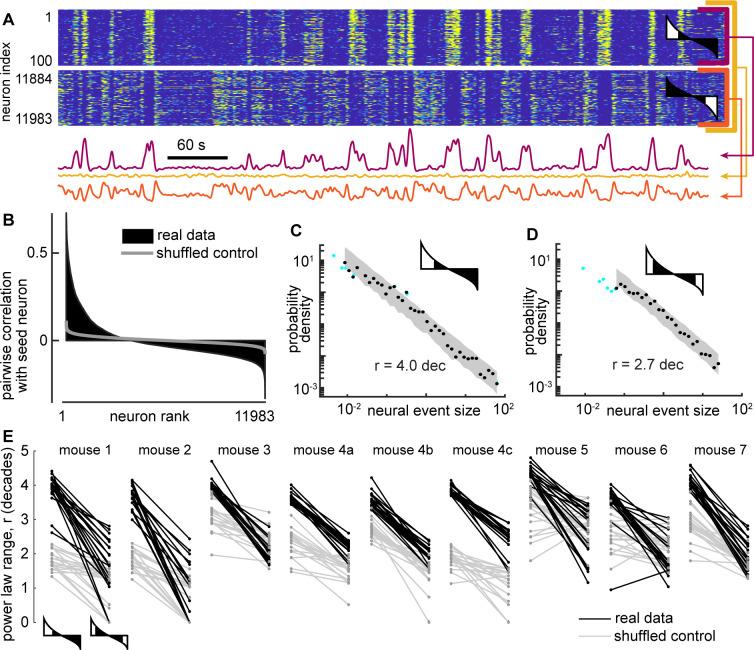 https://cdn.ncbi.nlm.nih.gov/pmc/blobs/5967/9931391/a22e829189bd/elife-79950-fig7.jpg
