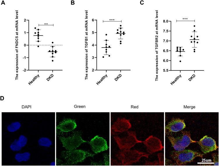 https://cdn.ncbi.nlm.nih.gov/pmc/blobs/5968/10244207/98800a6ef64c/DMSO-16-1577-g0002.jpg