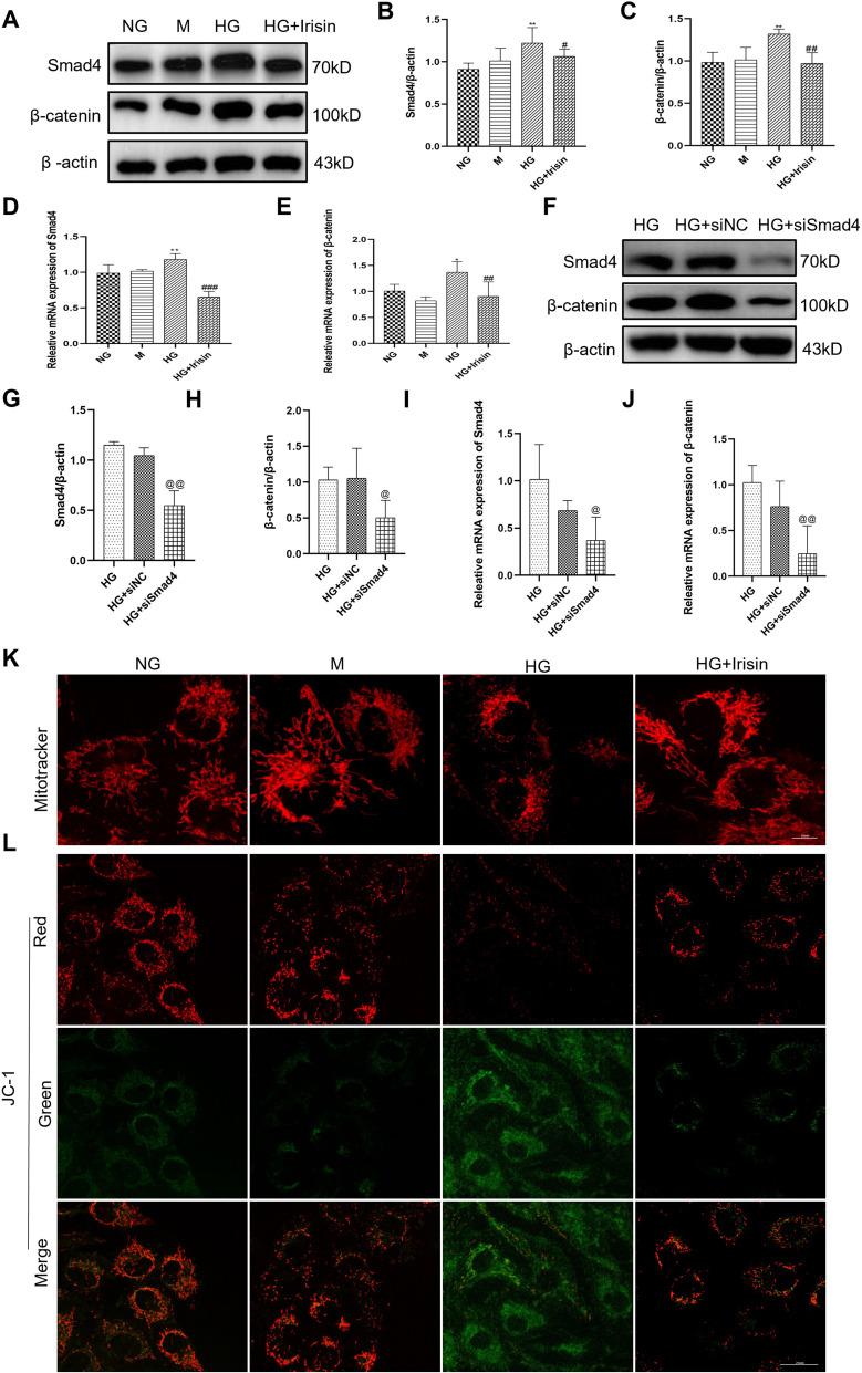 https://cdn.ncbi.nlm.nih.gov/pmc/blobs/5968/10244207/ec42ca985898/DMSO-16-1577-g0004.jpg