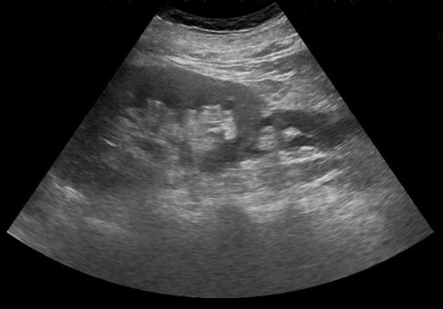 https://cdn.ncbi.nlm.nih.gov/pmc/blobs/5968/4628309/8151e21d2bdc/rjv13501.jpg