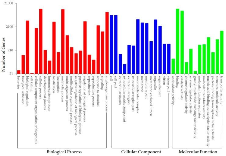 https://cdn.ncbi.nlm.nih.gov/pmc/blobs/5968/5664105/78c9d93eb003/genes-08-00255-g004.jpg