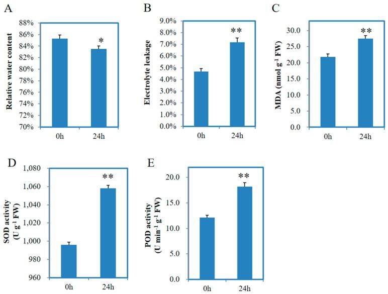 https://cdn.ncbi.nlm.nih.gov/pmc/blobs/5968/5664105/902b2779108c/genes-08-00255-g001.jpg