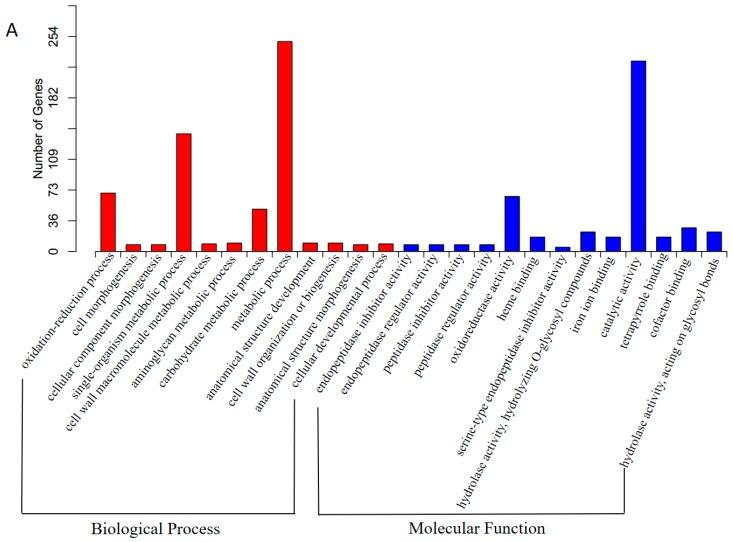 https://cdn.ncbi.nlm.nih.gov/pmc/blobs/5968/5664105/fbecda9398f3/genes-08-00255-g007a.jpg