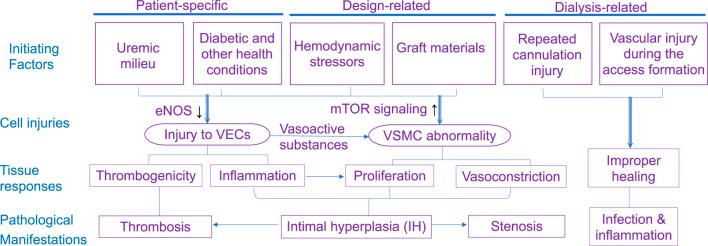https://cdn.ncbi.nlm.nih.gov/pmc/blobs/596a/11409097/7b057e028a38/fbioe-12-1448186-g004.jpg