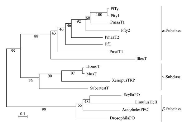 https://cdn.ncbi.nlm.nih.gov/pmc/blobs/596a/4003781/4030cc8f2f4d/ER2014-780549.003.jpg