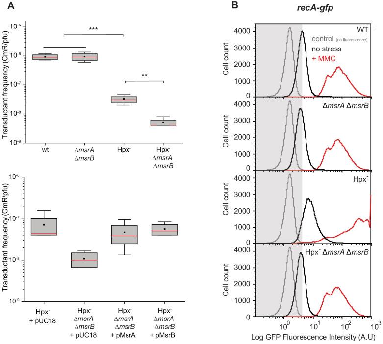 https://cdn.ncbi.nlm.nih.gov/pmc/blobs/596c/7943192/0a1cd6384614/elife-63747-fig2.jpg