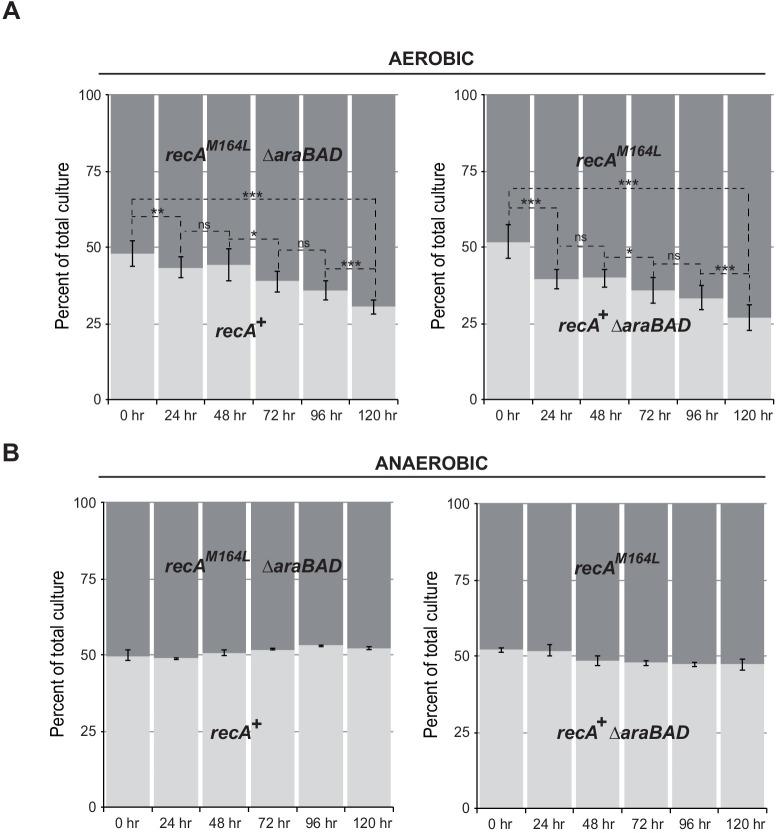 https://cdn.ncbi.nlm.nih.gov/pmc/blobs/596c/7943192/a27107601c63/elife-63747-fig7.jpg