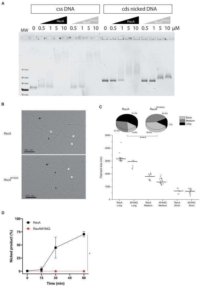 https://cdn.ncbi.nlm.nih.gov/pmc/blobs/596c/7943192/d8d0c1d4ea23/elife-63747-fig8-figsupp1.jpg