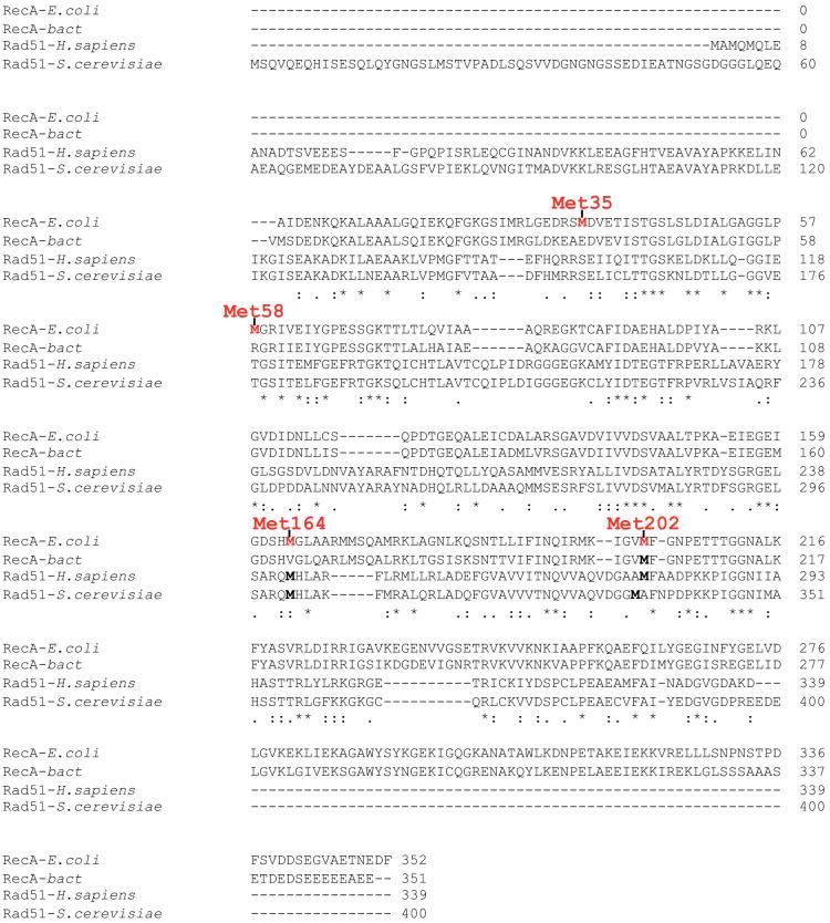 https://cdn.ncbi.nlm.nih.gov/pmc/blobs/596c/7943192/eb06fef773d9/elife-63747-app1-fig1.jpg