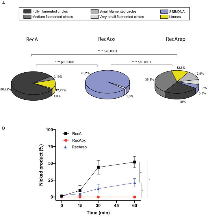 https://cdn.ncbi.nlm.nih.gov/pmc/blobs/596c/7943192/f7ec0965d4fd/elife-63747-fig3-figsupp1.jpg