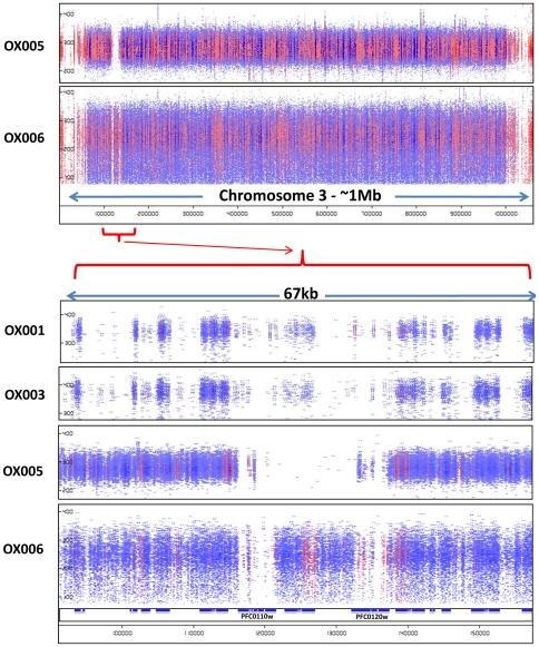 https://cdn.ncbi.nlm.nih.gov/pmc/blobs/596d/3154926/2b5f8f37ec97/pone.0023204.g003.jpg