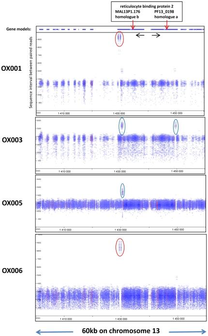 https://cdn.ncbi.nlm.nih.gov/pmc/blobs/596d/3154926/d2b183644e51/pone.0023204.g002.jpg