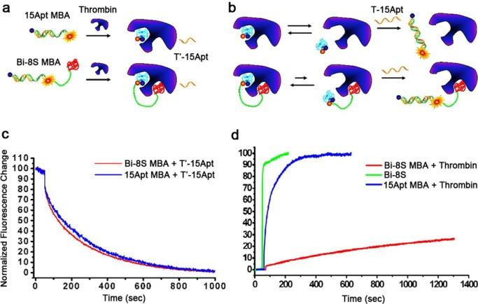 https://cdn.ncbi.nlm.nih.gov/pmc/blobs/596d/4066909/c93896e7ac06/ar-2014-00078f_0006.jpg