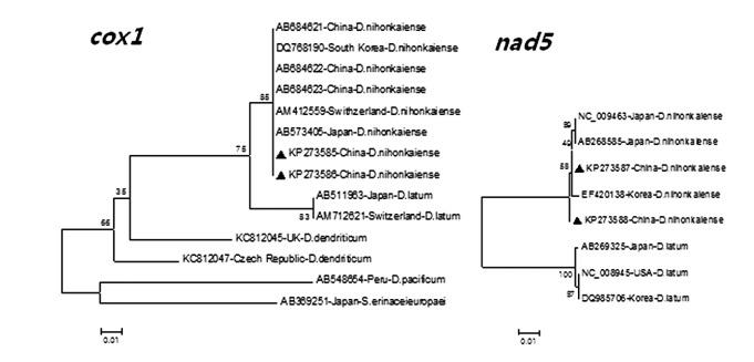 https://cdn.ncbi.nlm.nih.gov/pmc/blobs/596d/4725229/1e055ab3647e/kjp-53-6-683f1.jpg