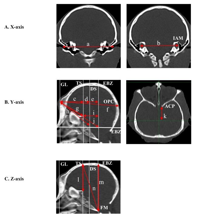 https://cdn.ncbi.nlm.nih.gov/pmc/blobs/596d/6614067/e5988731ab3e/en-28-425-g001.jpg