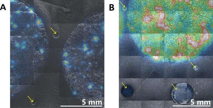 https://cdn.ncbi.nlm.nih.gov/pmc/blobs/596e/10915129/7de34a4ee745/41598_2024_52876_Fig4_HTML.jpg