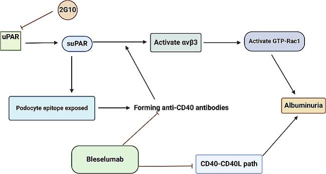 https://cdn.ncbi.nlm.nih.gov/pmc/blobs/5970/11318291/1314834157c7/12882_2024_3695_Fig2_HTML.jpg