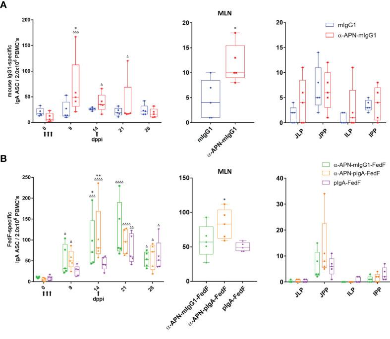 https://cdn.ncbi.nlm.nih.gov/pmc/blobs/5970/8551371/5fc7833c03d0/fimmu-12-753371-g007.jpg