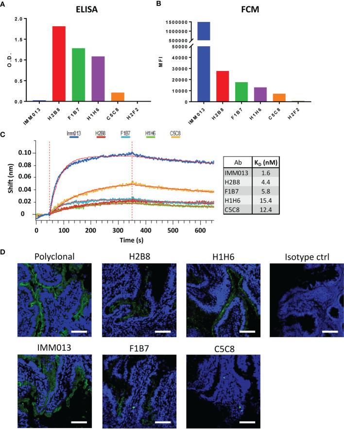 https://cdn.ncbi.nlm.nih.gov/pmc/blobs/5970/8551371/a1c863d50335/fimmu-12-753371-g001.jpg