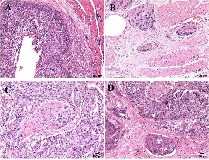 https://cdn.ncbi.nlm.nih.gov/pmc/blobs/5970/8898008/c3af9854d1b4/peerj-10-12974-g001.jpg